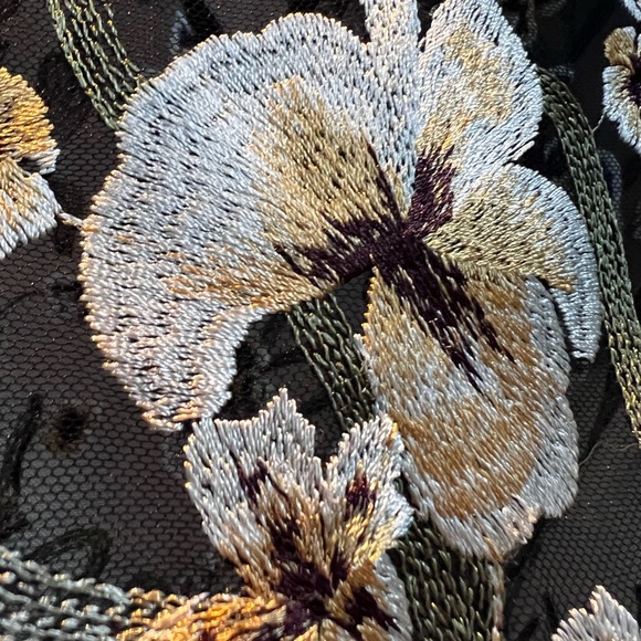 Aritzia Little Moon mesh ebroidered top - Picture 4 of 6